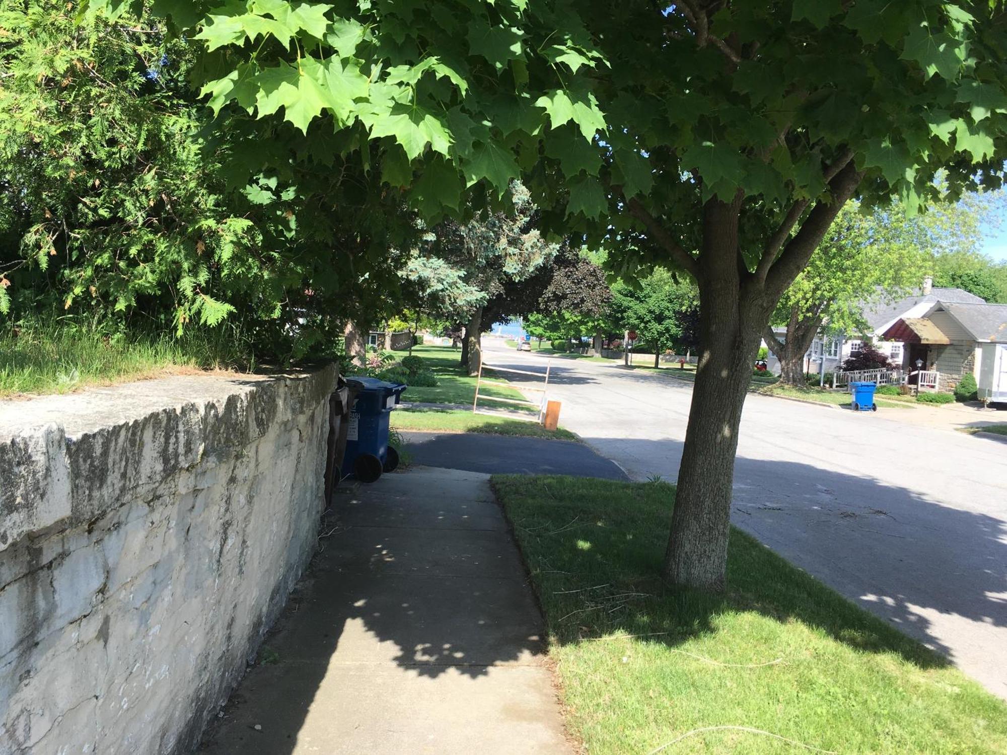 Ludington Blue Spruce Inn エクステリア 写真