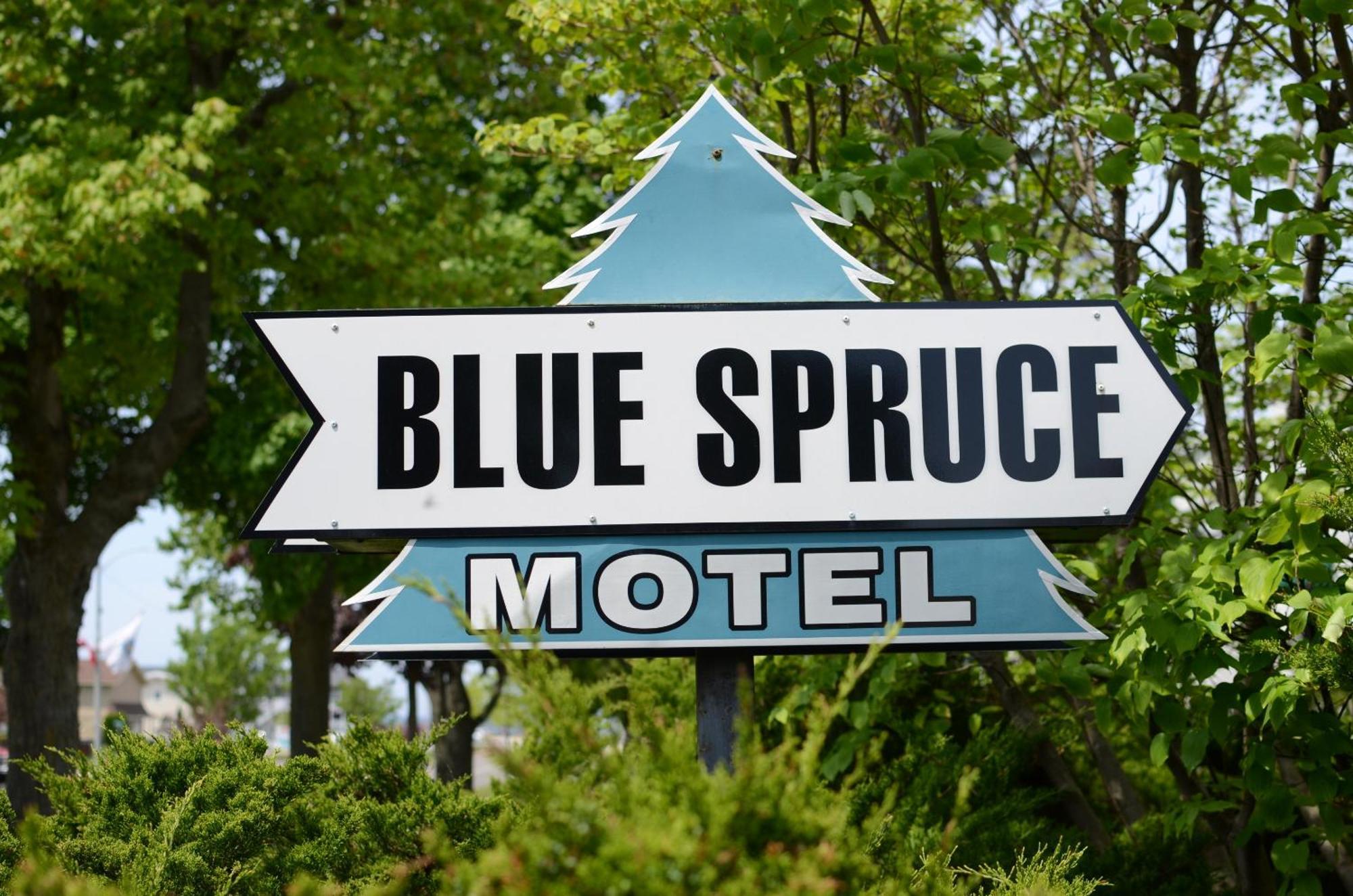 Ludington Blue Spruce Inn エクステリア 写真
