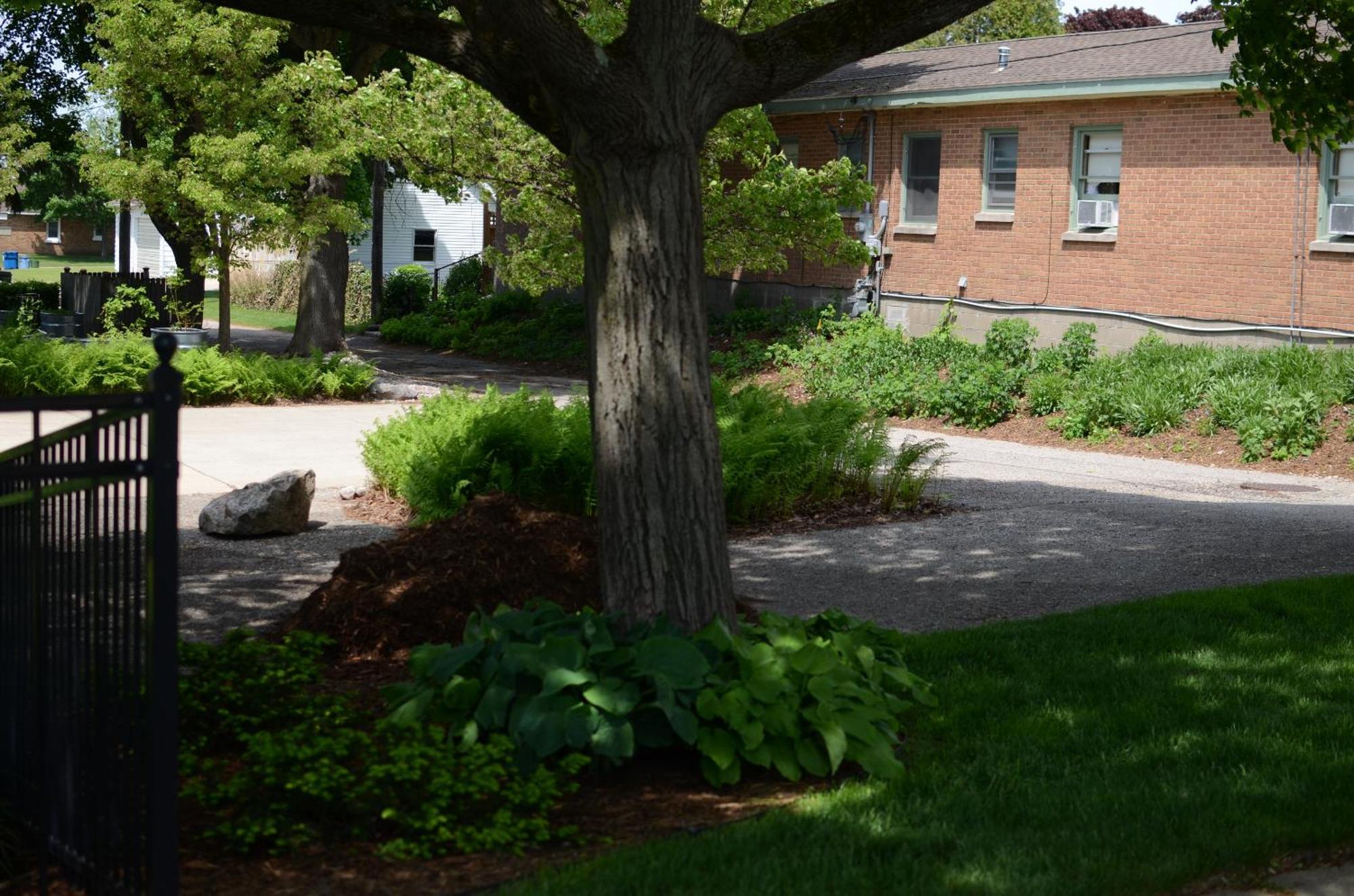 Ludington Blue Spruce Inn エクステリア 写真